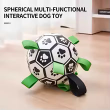 Pet Football Toy