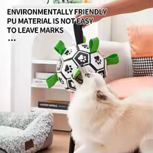 Pet Football Toy