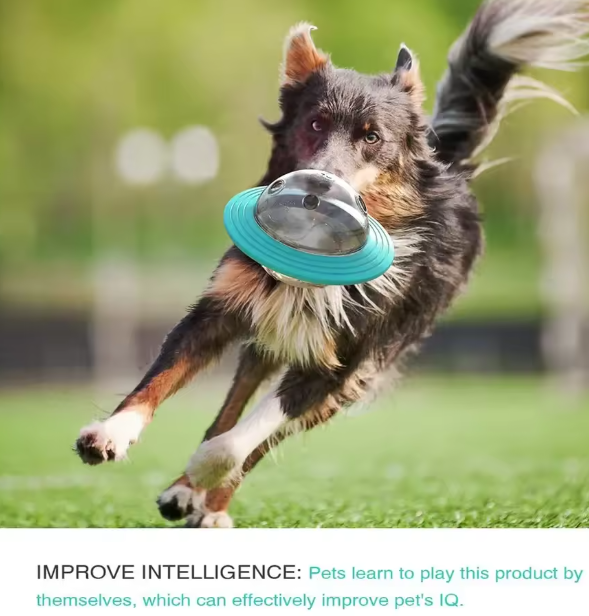 Multi-Function Dog Frisbee