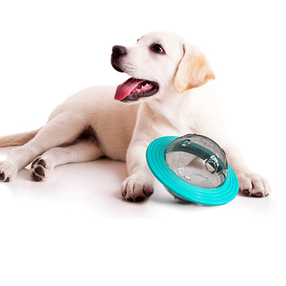 Multi-Function Dog Frisbee