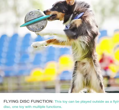 Multi-Function Dog Frisbee