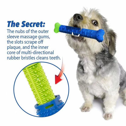 Dog ChewBrush