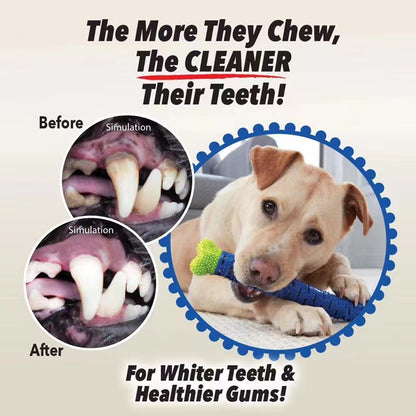 Dog ChewBrush