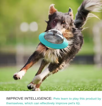 Multi-Function Dog Frisbee
