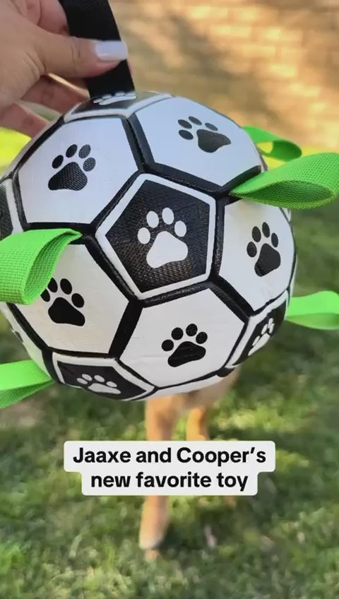 Pet Football Toy
